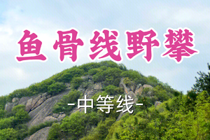 即将成团！69元起！周一5.4【世纪+宜山上车-鱼骨线野攀13公里】|山野出逃：野攀与山野的完美相遇