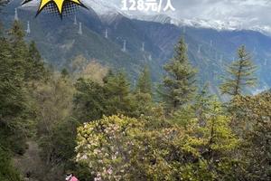 每周六周日【探秘II纳山之眼】1日游  雪山草甸 森林吸氧 纳山之眼，天行之路！