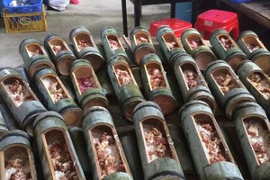 （周六从化星星环线）2026年4月4日从化星星环线竹林休闲徒步吃竹筒饭挖竹笋