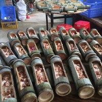 （周六从化星星环线）2026年4月11日从化星星环线竹林休闲徒步吃竹筒饭挖竹笋