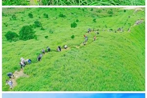 【大南山】3月8日 惠东大南山穿越、邂逅漫山芦苇荡、情迷绵绵大草坡 一天！