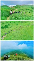 【夜登大南山】2026年6月13日晚至14日 惠东大南山穿越、邂逅漫山芦苇荡、情迷绵绵大草坡 一天！