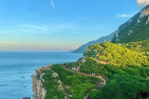 【休闲】3.13周四丨漫步鹿嘴山庄《美人鱼》人鱼洞+鹿嘴湾沙滩，打卡深圳醉美山海公路杨梅坑，行摄大鹏所城