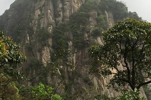 2025年3月23日广州千米高山之第二高峰鸡枕山穿越