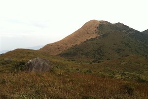 【大南山】2025年6月8日广东“小武功山”，大南山精华段穿越，邂逅最美芦苇荡