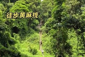 【亲子路线】4.4/4.5周五/周六2期丨徒步城市的另一面，新晋网红打卡点，长岭国家森林公园，黄麻环线