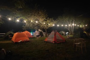 (五一假期！自驾露营活动)萤火虫奇妙夜！最美乡村露营、夜观萤火虫、摸螺 、摘野菜、制作青梅酒！