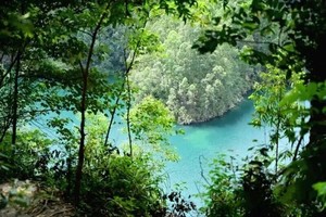 （休闲徒步）新线|2025年10月19日周日广州六片山约10公里休闲徒步