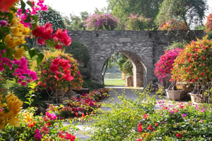 2025年11月30日召集！【广100第五站·马岭观花】藏在花都的“莫奈花园”：草原14公里千人徒步大会