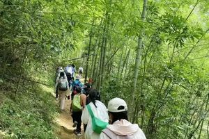 【从化星溪徒步】2025年11月16日周日丨星溪线竹海徒步，吃竹筒饭，小溪玩水