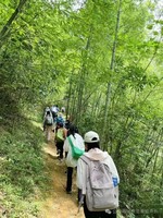 【从化星溪徒步】2026年4月5日/6日丨星溪线竹海徒步，吃竹筒饭