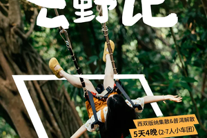 雨林之子·版纳去野记｜全网独家升级路线，版纳&普洱两地解散+雨林秘境+曼听公园+野象谷+傣族园+中科院植物园