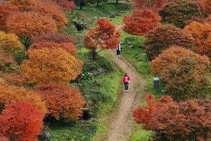 铁发2025年12.13-12.14夜爬湖南【九嶷山 】香炉石 穿越蓝山谷赏枫叶 日出云海 秋天户外人的专属浪漫