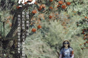 百里杜鹃 | 2026贵州花季小众秘境4天3晚轻徒旅行