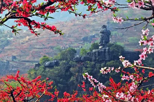 2026年2月28日/3月1日【广100番外站·桃花源徒步】连平&龙南&和平：粤赣古道桃花大型徒步活动