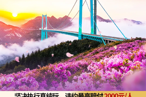 【桥遇花海5天】贵州百里杜鹃+黄果树瀑布+花江峡谷大桥+马岭河大峡谷+万峰林5天游