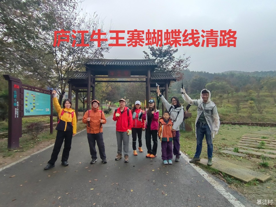 IMG_20241117_095653_1