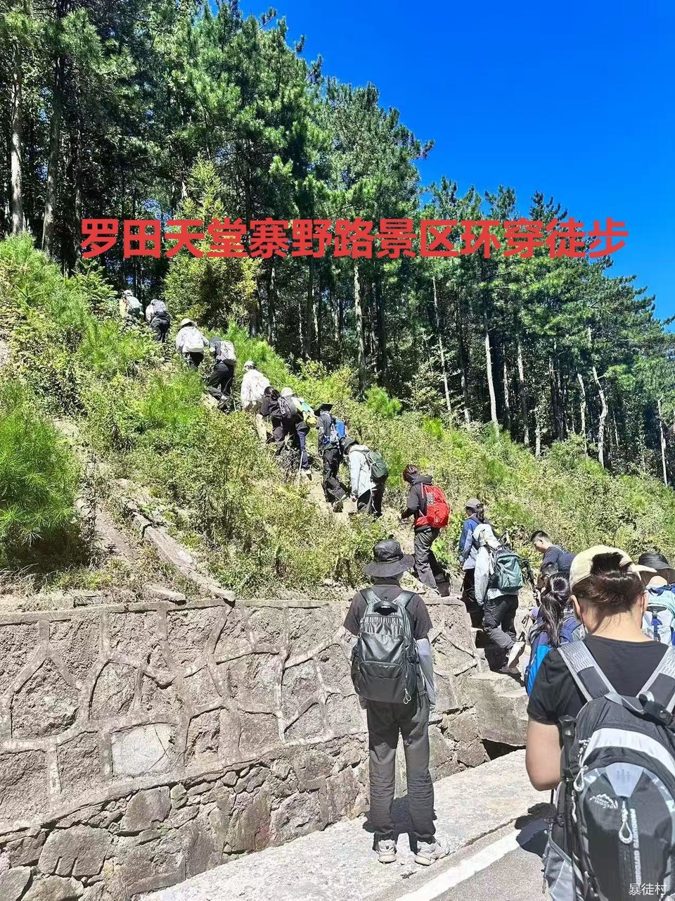 微信图片_20250402171929