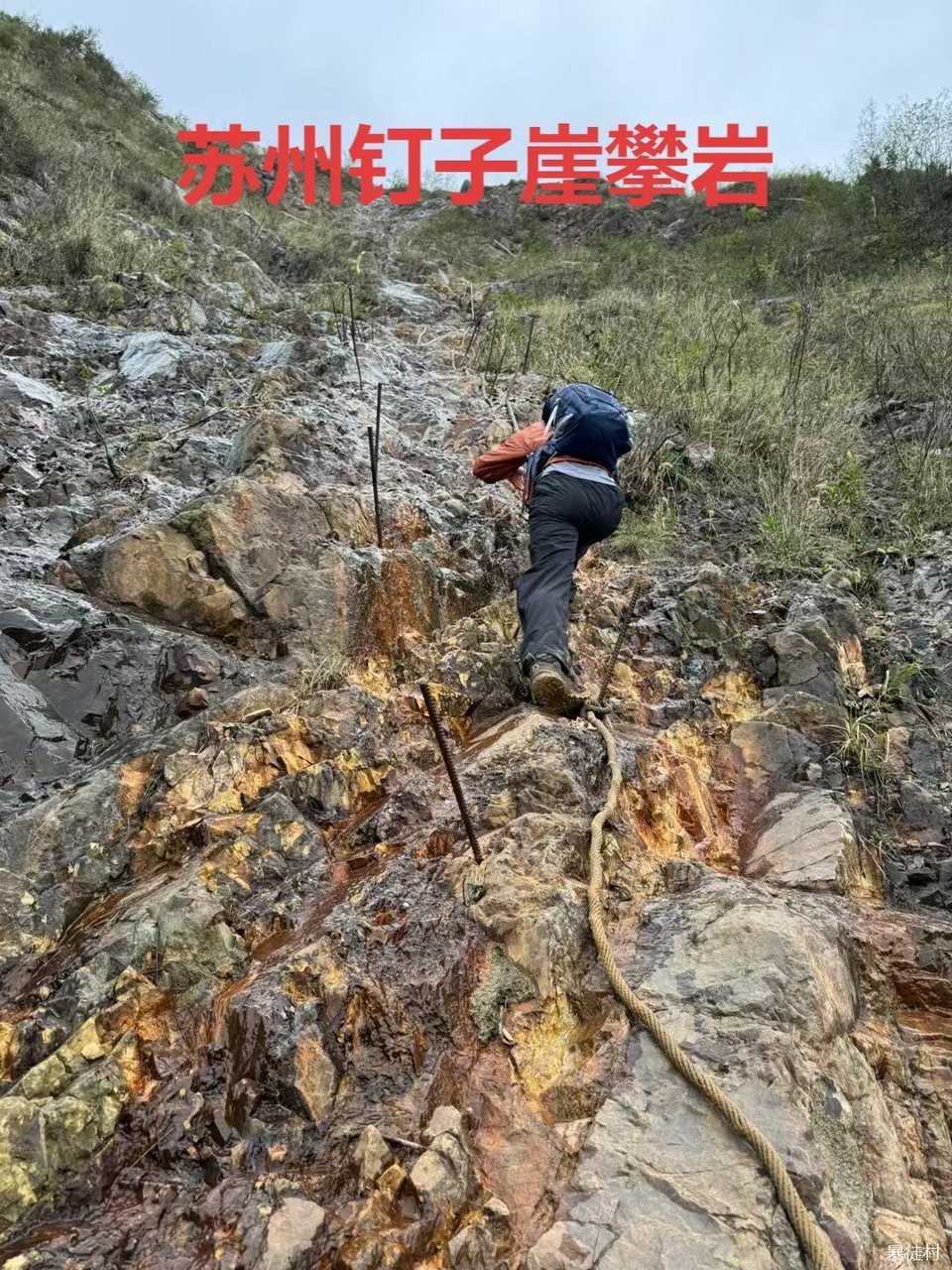 mmexport1730084564783