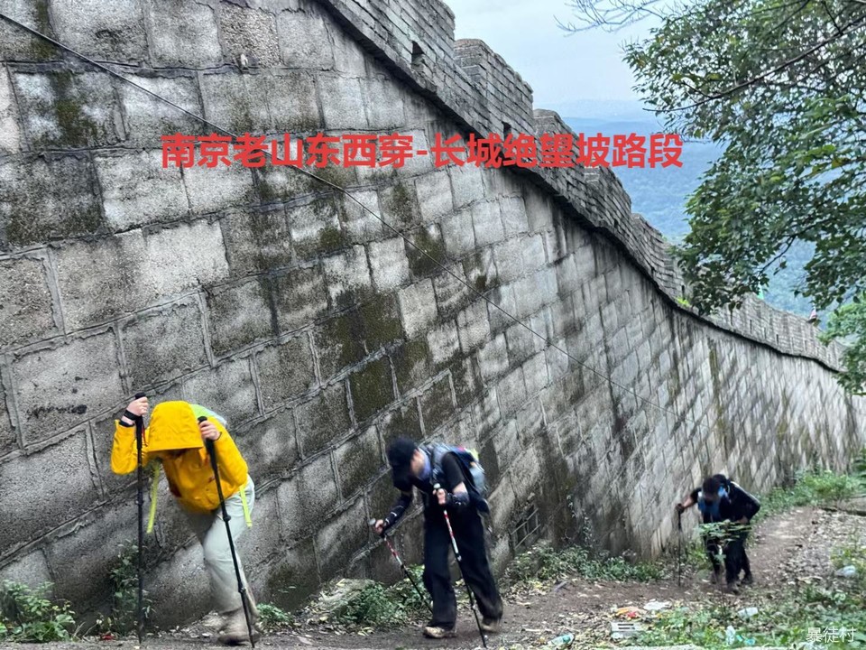 mmexport1736739450142