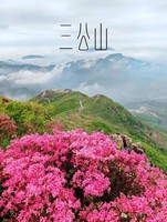 4.11 | 登芜湖铜陵第一高峰-三公山，赏牛王山杜鹃花海，打卡安徽版武功山