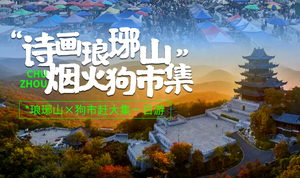 【休闲活动】12月28号周日||跟着央视赶大集--滁州狗市，打卡琅琊山醉翁亭1日活动