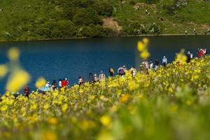 6.21-22【九鼎山星空露营计划 | Starry Camping】徒步・观星・花海・云海