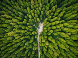 【6.29公益活动】“森”呼吸：中坝探林·白鹿听风Breathe in the Forest|徒步、吸氧、浪漫