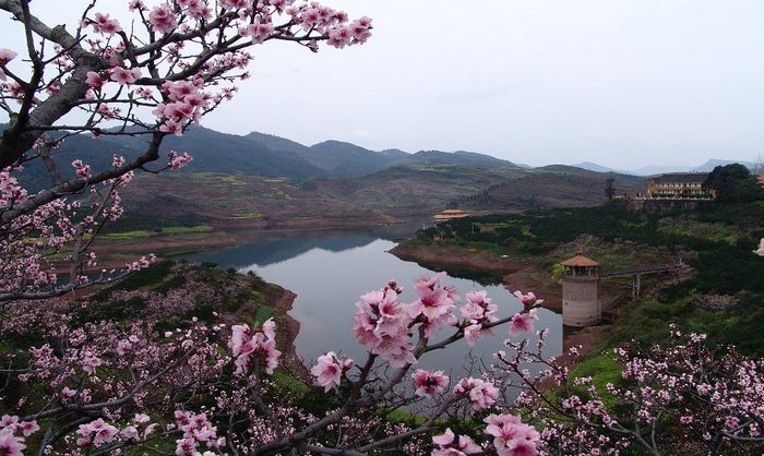 【1日游】周天发团 丹棱梅湾湖,十里桃花