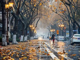 五一节·遇见南京：3天3夜自由行，一句梧桐美，种满金陵城