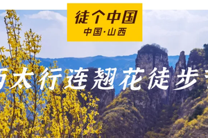 4.7-4.11｜徒个中国•山西西太行｜西太行连翘花徒步节