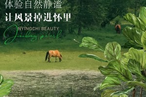 2025下一站西藏7天6晚之旅