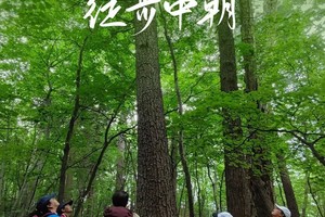 巍巍长白 · 徒步中朝