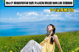 M03【LOOK 北疆·伊犁拼车 7 日】1+1 头等舱丨独山子大峡谷-赛里木湖环游-那拉提草原-天山花海-……