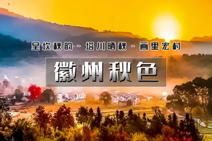 周末2日｜徽州秋色｜皖秋の呈坎秋韵-塔川晒秋-画里宏村-屯溪老街｜秋摄醉美徽州古韵