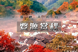 周末2日｜又见•婺源赏秋A｜休闲行の打卡婺女洲-篁岭晒秋-石城晨雾-菊径村-虹关村-察关村&景德镇陶溪川