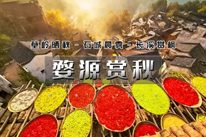 周末2日｜又见•婺源赏秋B｜徒步行の水墨徽州-篁岭晒秋-石城晨雾-长溪赏枫&景德镇陶溪川