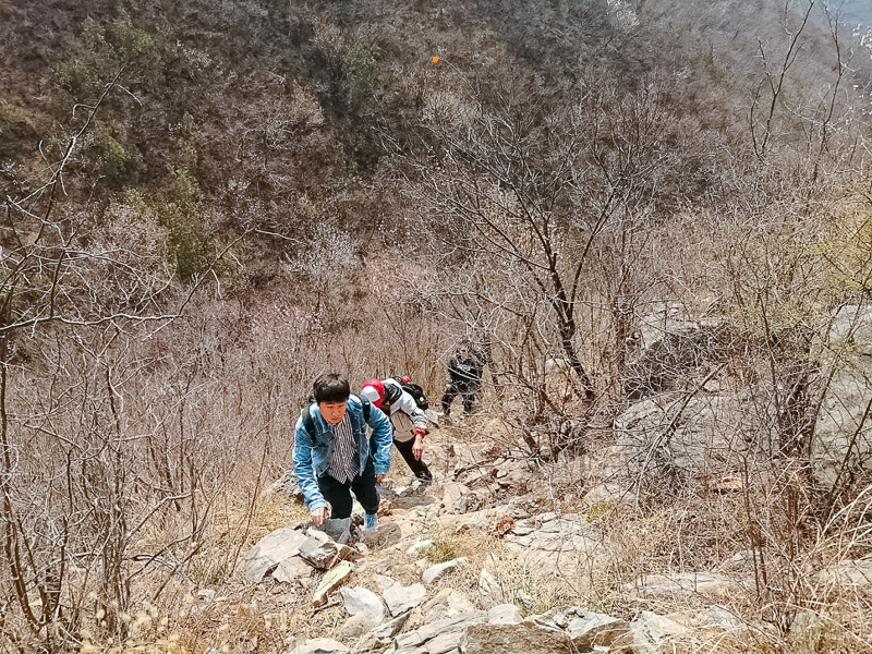 640_wx_fmt=jpeg&wxfrom=5&wx_lazy=1&wx_co=1 (3).jpg