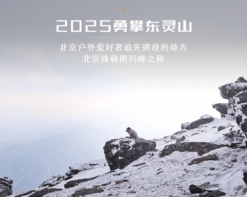 1739064838632888.jpg 010.jpg