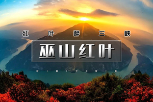 周末2日｜又见•巫山红叶｜红叶醉三峡の长江三峡之巅看夔门漫山红叶“枫”情万种