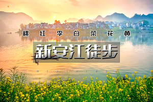 周末2日｜又见•新安江徒步｜2026重走唐诗之路の新安江-石潭-下汰-徽州古城-水墨徽州行摄