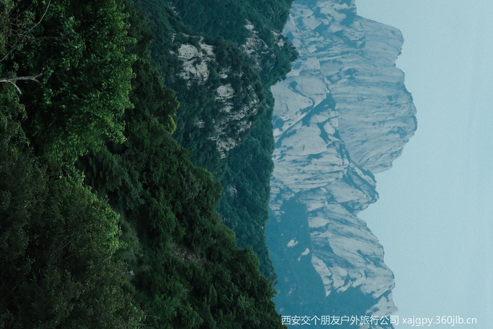 微信图片_20250621172143