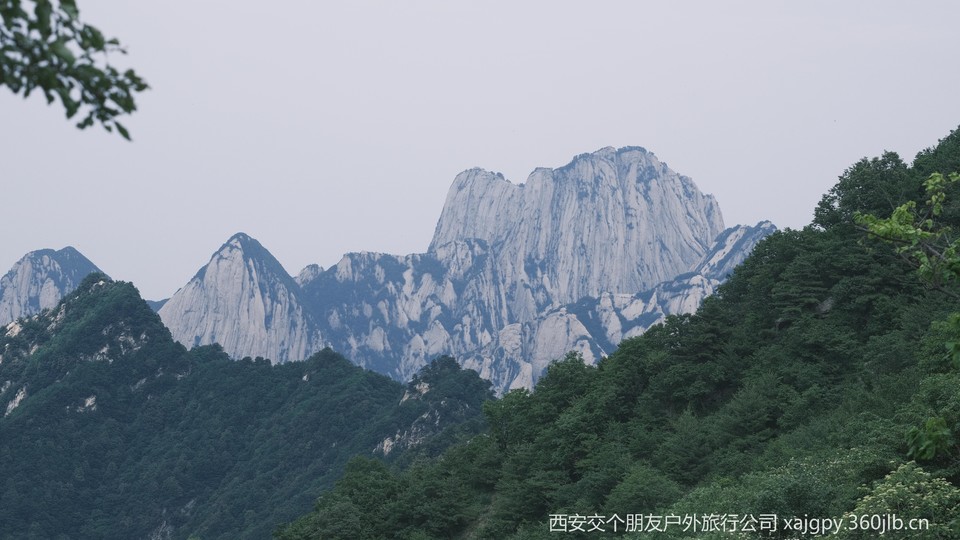 微信图片_20250621172146