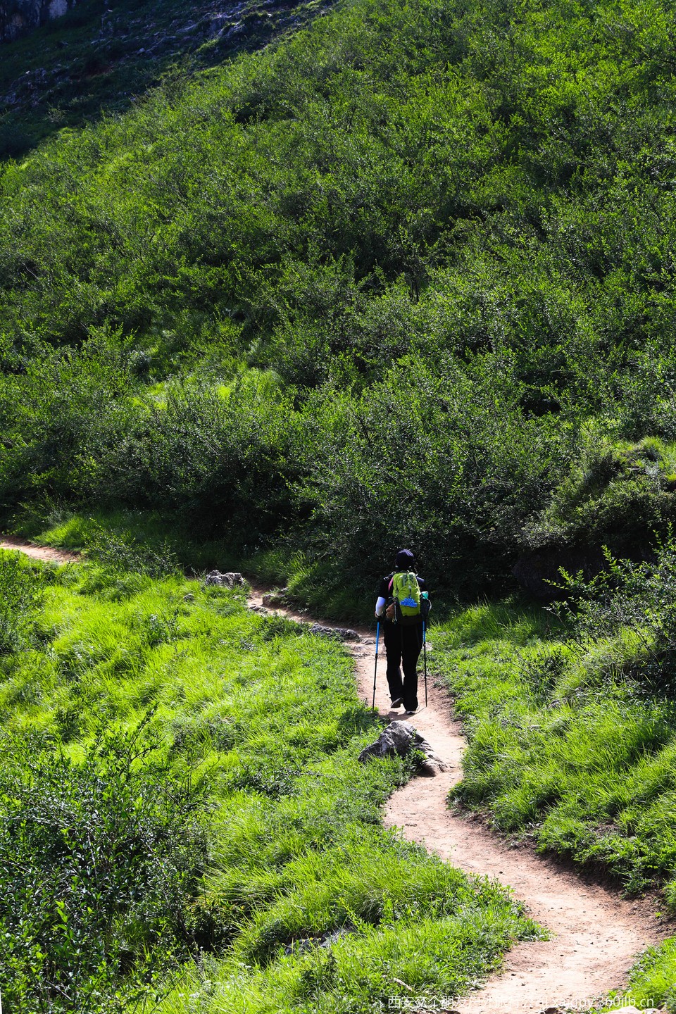 微信图片_20250708172112