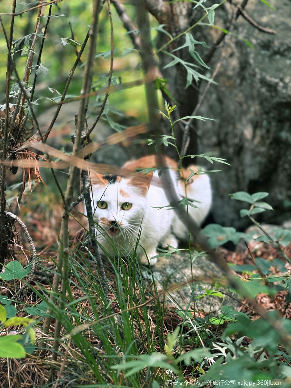 微信图片_20250708184149