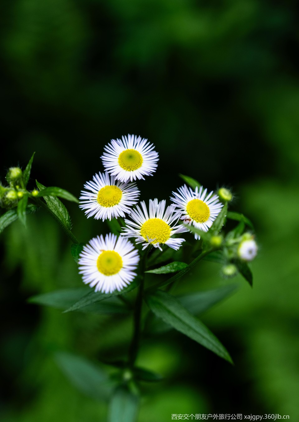 微信图片_20250708184215