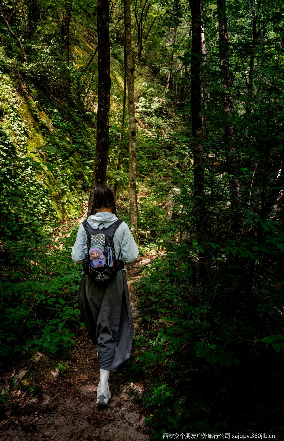 微信图片_20250708184211