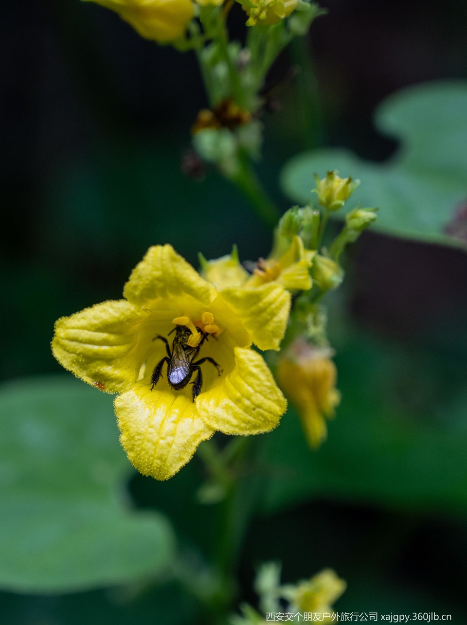 微信图片_20250708184218