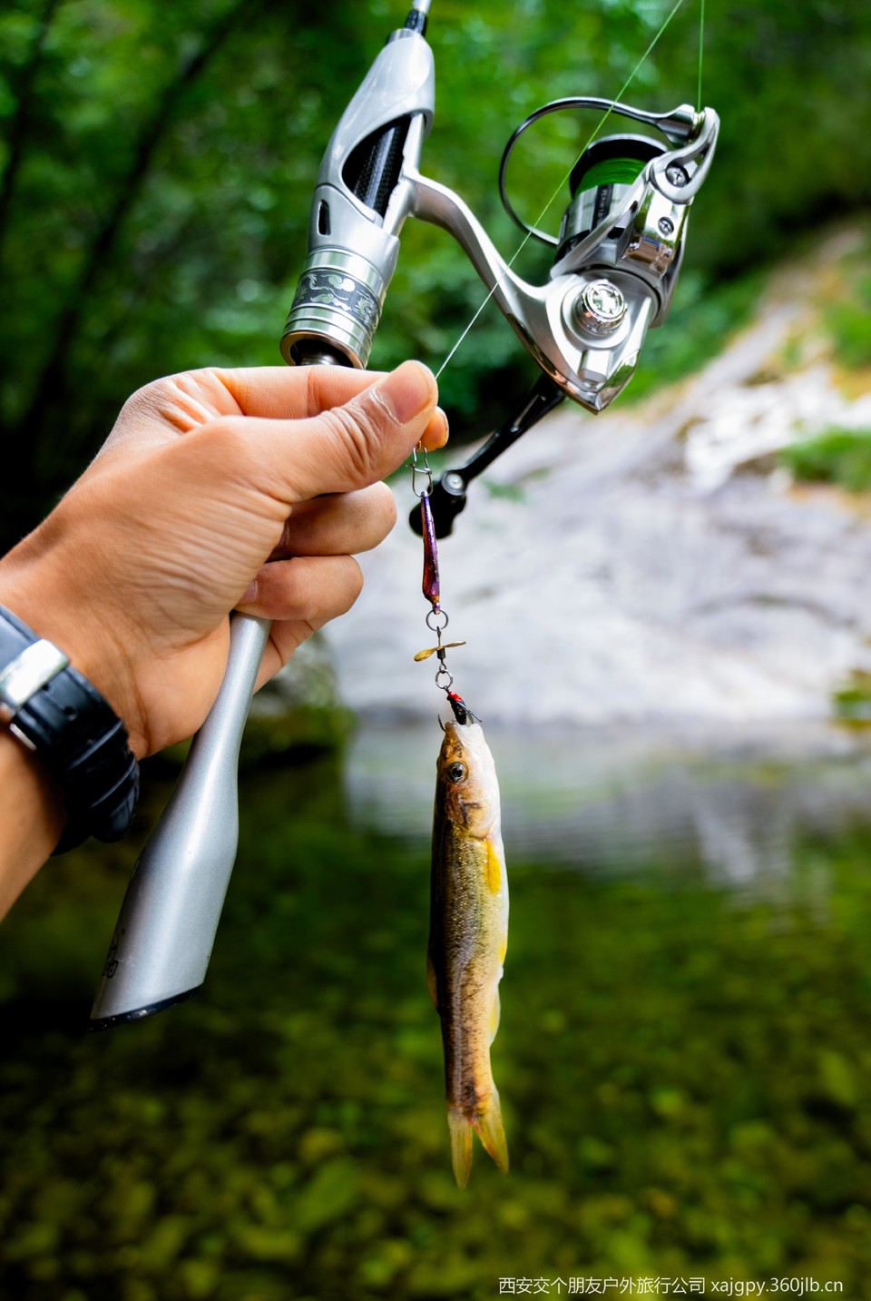 微信图片_20250708184225