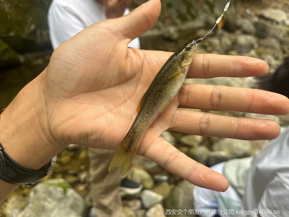 微信图片_20250708184305